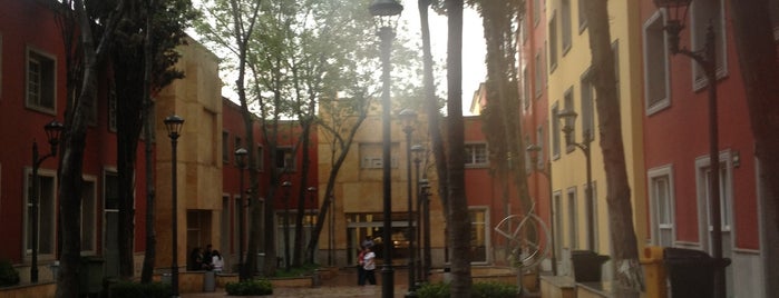 Instituto Tecnológico Autónomo de México is one of UNIVERSIDADES SCHOOL'S Y AZI.