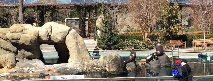 Central Park Zoo is one of The New Yorker's About Town.