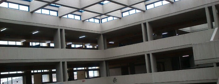 School of Philosophy UOA is one of สถานที่ที่ Ifigenia ถูกใจ.