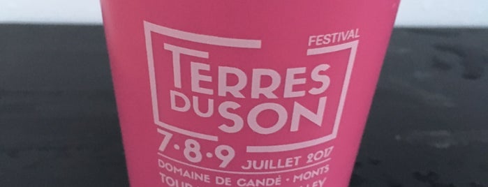 Festival Terre du Son is one of Gigs.