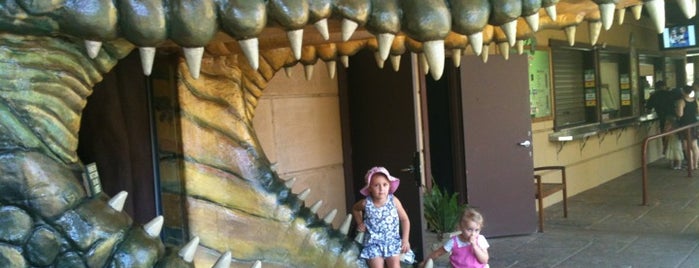 Australian Reptile Park is one of Sydney travels!.