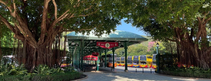 Disneyland Bus Terminus 迪士尼樂園巴士總站 is one of 香港 巴士 1.