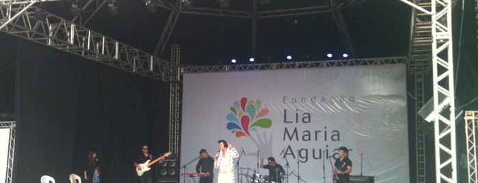 Festival Música na Praça is one of Fabioさんの保存済みスポット.