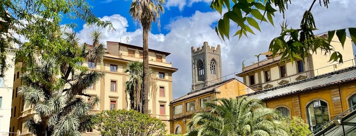 Museo di Storia Naturale, Orto Botanico is one of florence.