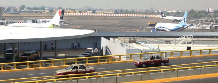 Terminal 1 is one of Lugares favoritos de Omar.