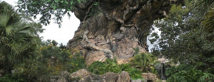 Disney's Animal Kingdom is one of Places I Have Been To (Orlando, FL).