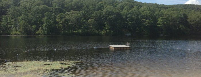 Bull Pond is one of FISHING SPOTS.