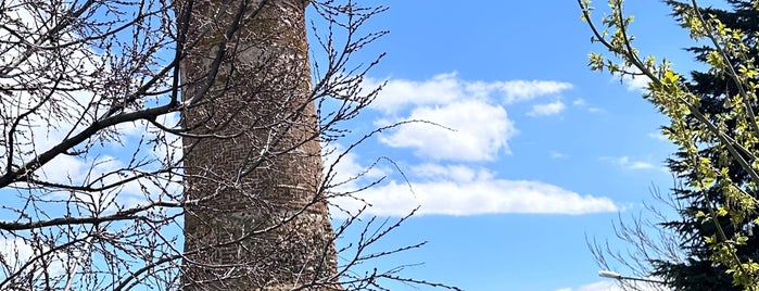 Ulu Cami is one of Divriği Erzincan tunceli malatya.