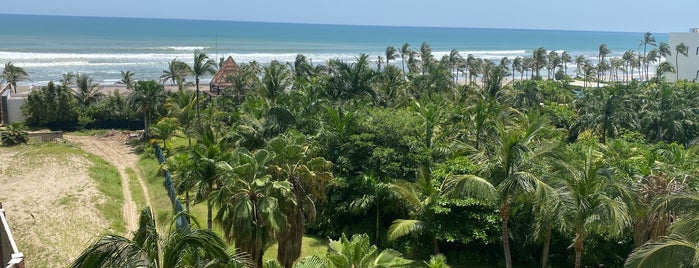 Mayan Palace Beach is one of Catador : понравившиеся места.