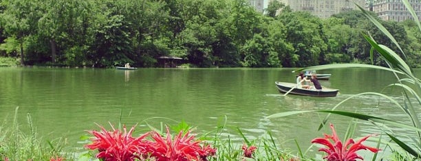 Central Park is one of NYC Beat.
