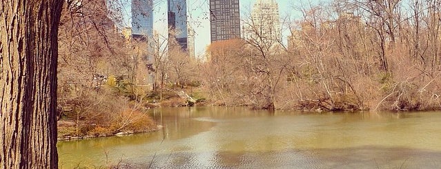 Центральный парк is one of New York.