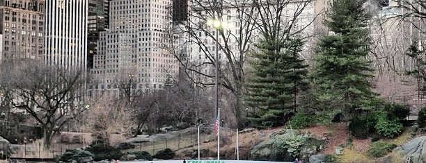 Wollman Rink is one of NYC.