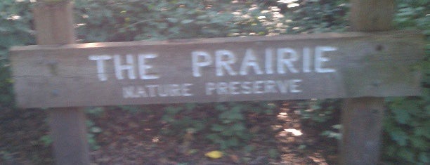 The Prairie Nature Preserve is one of Forest Preserves, Parks, and Trails.