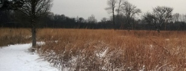 Skokie River Nature Preserve is one of PooBear’s Liked Places.