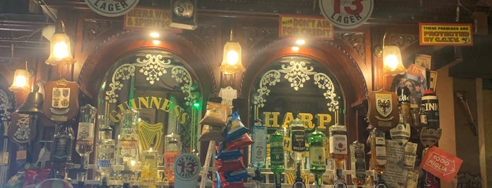 Griffin's Irish Pub is one of Modna.