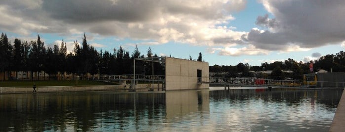 Parque da Cidade is one of Lugares favoritos.