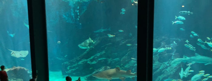 マリンワールド海の中道 is one of 日本の水族館 Aquariums in Japan.