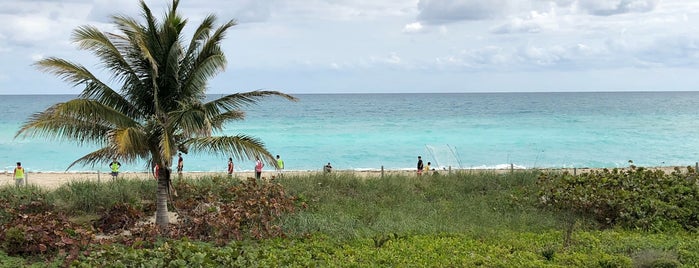 North Shore Beachwalk is one of Lieux qui ont plu à Mariesther.