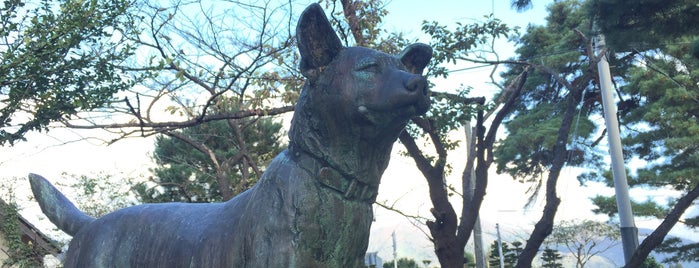 村松公園 is one of สถานที่ที่ ヤン ถูกใจ.