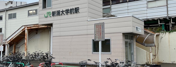 新潟大学前駅 is one of 越後線.