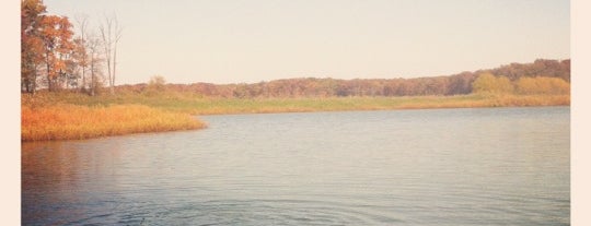 Eagle Creek State Park is one of Illinois State Parks.