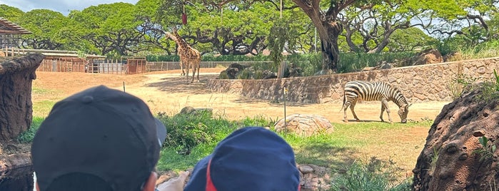 Honolulu Zoo is one of BUCKET LIST.