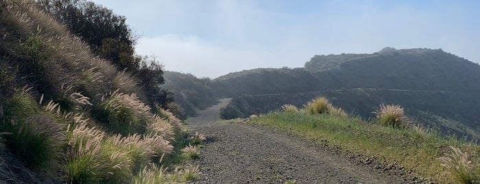 Getty Hiking Trail is one of L.A..