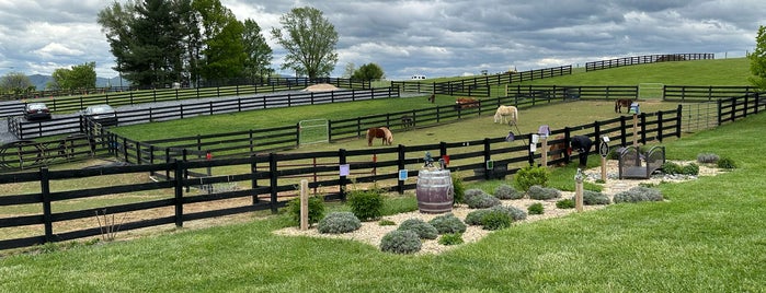 White Oak Lavender Farm is one of Shenandoah.