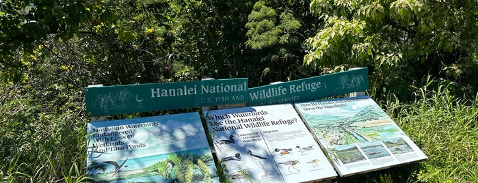 Hanalei Wildlife Refuge is one of 🚁 Hawaii 🗺.