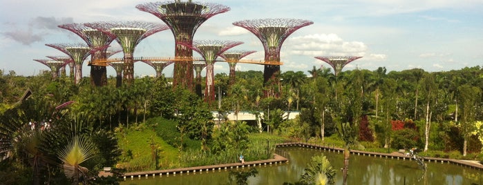 Garden Bay Bridge is one of Singapore Tour 2012.