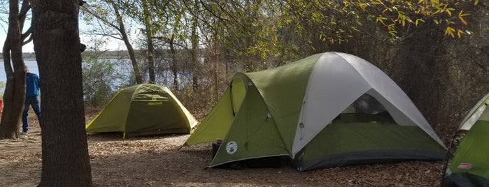 Purtis Creek State Park is one of Texas State Parks.