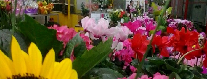 Mercado das Flores is one of Vanessaさんのお気に入りスポット.