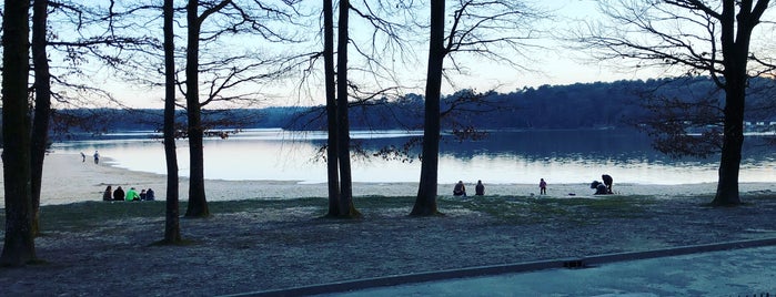 Lac de Sillé-le-Guillaume is one of Sarthe.