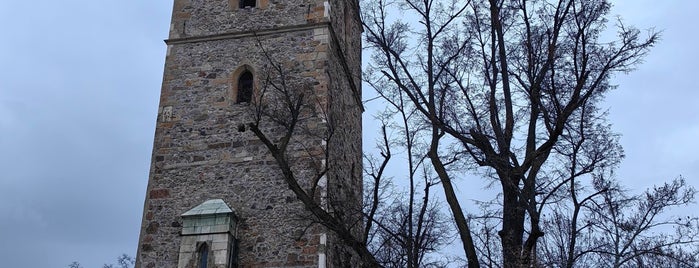 Stephen's Tower is one of Baia Mare.