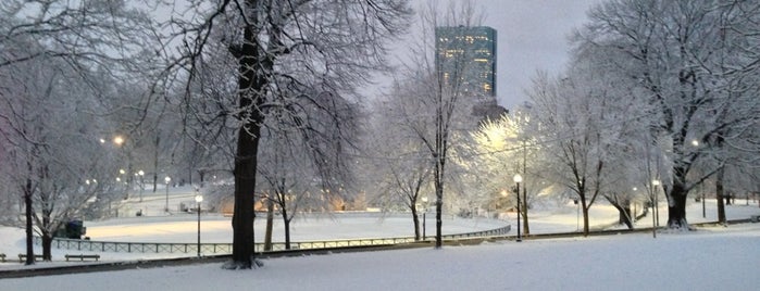 Boston Common is one of Christmas Hot Spots.