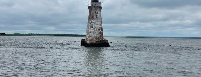 Captain Derek Dolphin Tour is one of Travels.