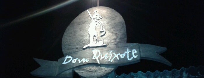 Dom Quixote is one of Posti salvati di Rubens.