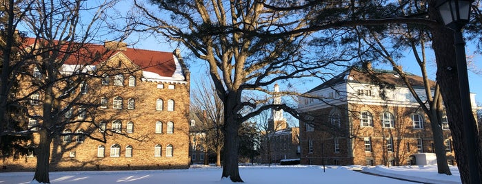 Hamilton College is one of Hamilton.