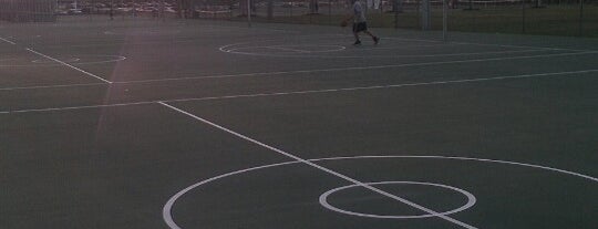 USF Outdoor Basketball Courts is one of Places I do work.