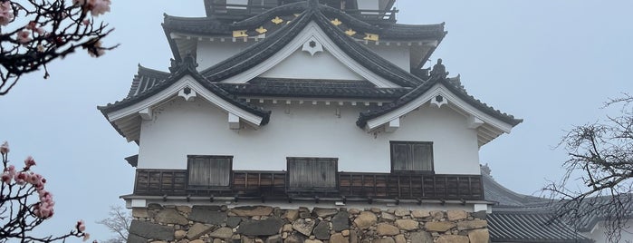 Hikone Castle Tower is one of Jernej : понравившиеся места.