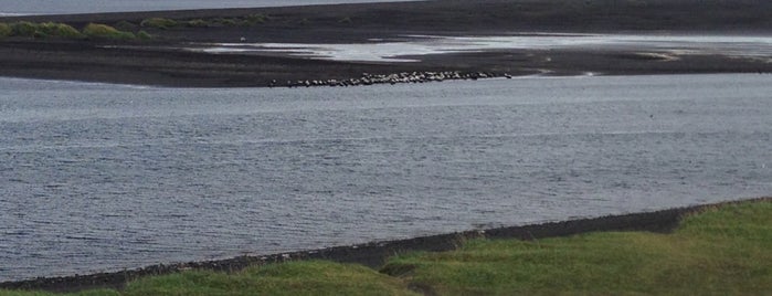 Seal beach is one of Iceland.