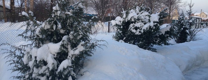 Житнево is one of Lieux qui ont plu à Ekaterina.