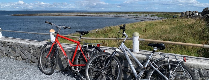 Aran Bike Hire is one of irlanda.