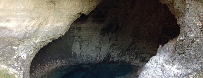 Source de la Sorgue is one of Trips / Vaucluse, France.