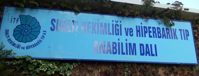Sualtı Hekimliği ve Hiperbarik ABD is one of İstanbul Tıp Fakültesi.