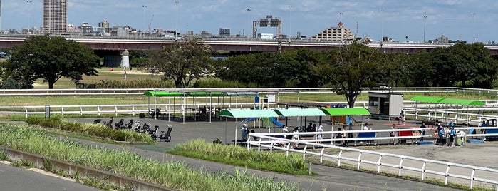 Shinozaki Pony Land is one of 観光 行きたい.