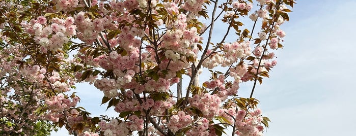 市民の森 is one of Sanpo in Osaka.