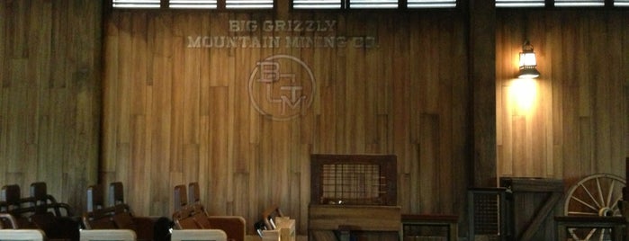 Big Grizzly Mountain Runaway Mine Cars is one of Hong Kong Disneyland.
