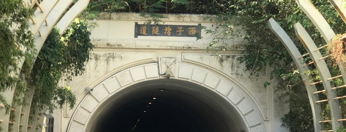 西子灣隧道 is one of taiwan.