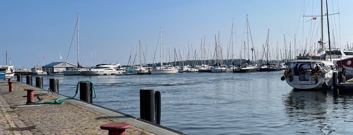 Anleger Weiße Flotte is one of Stralsund.